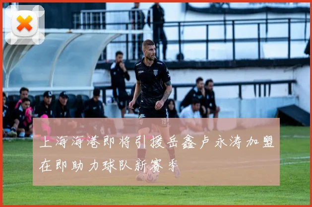 上海海港即将引援岳鑫卢永涛加盟在即助力球队新赛季